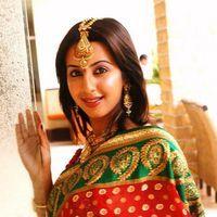 Sanjana Galrani In Saree Diwali Look - Stills